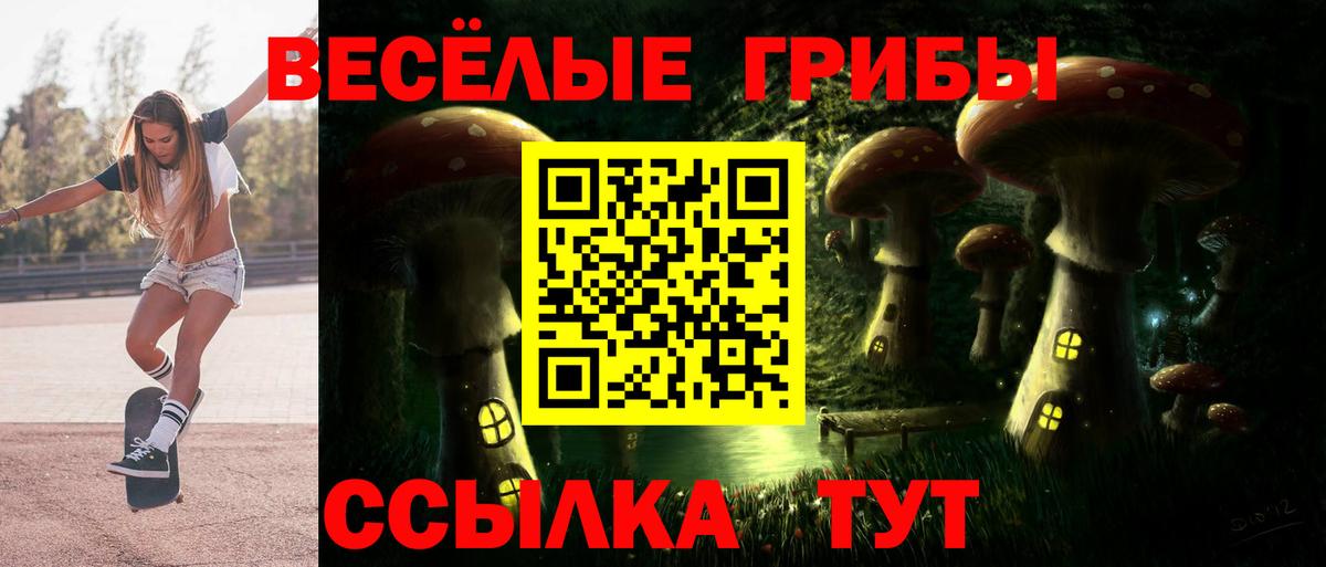 Ставрополь  Галлюциногенные грибы Cubensis  Вход с VPN 