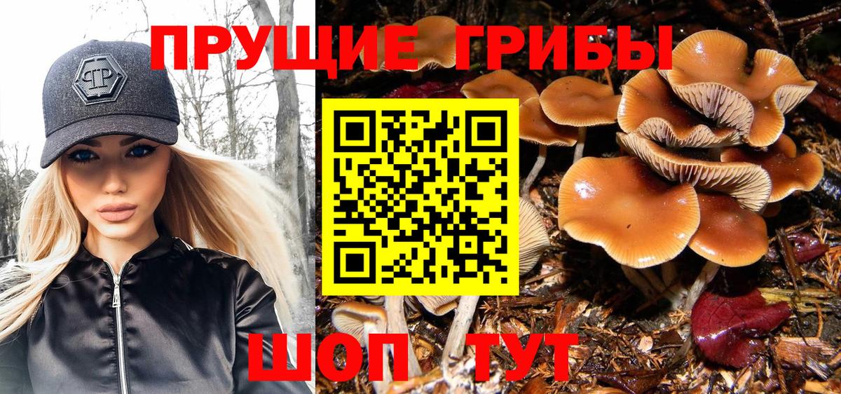 Галлюциногенные грибы Cubensis Ставрополь